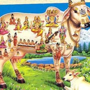 Bhagobot Lila Image
