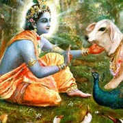 Krishna Nice Image