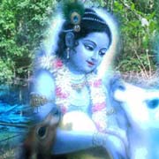 Krishna Nice Image
