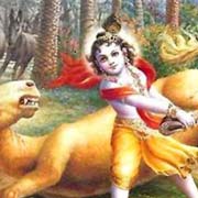 Krishna Nice Image