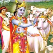 Krishna Nice Image