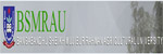 BSMRAU_result_image
