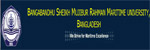 BSMRMU_result_image