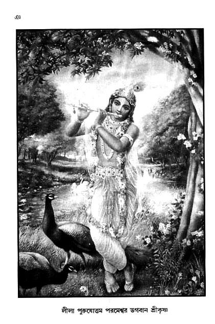 gour_krishna_jagannath_page#
