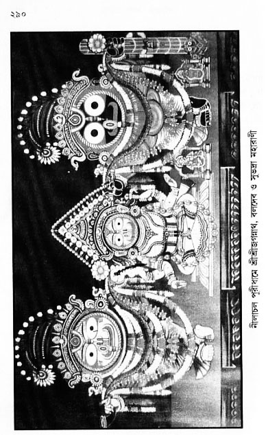 gour_krishna_jagannath_page#