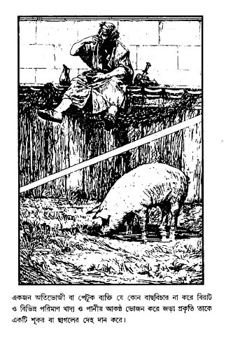 Punaragman