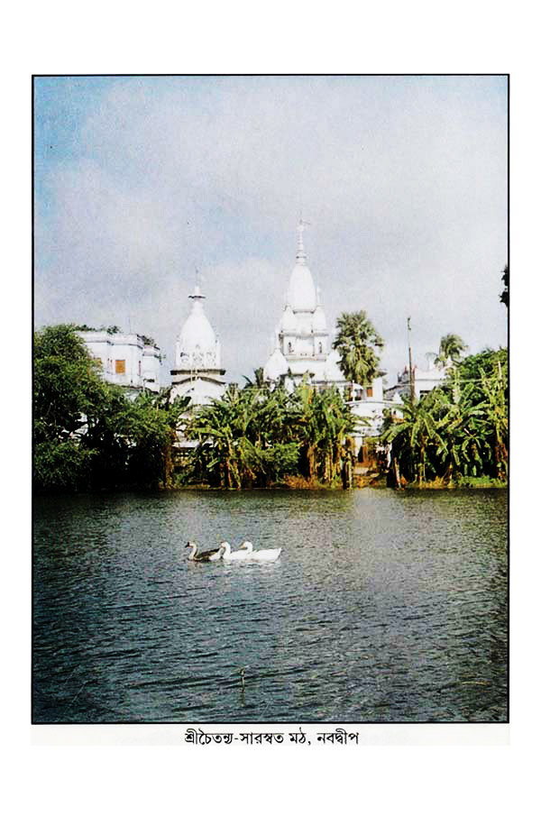  শ্রীশ্রীচৈতন্যভাগবত     