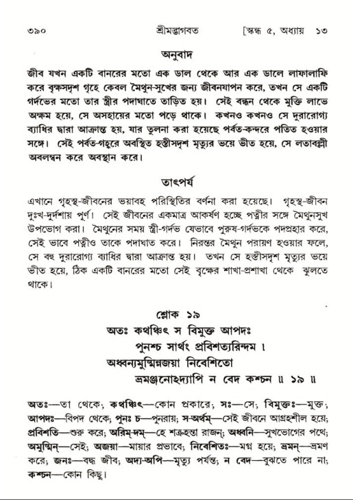 শ্রীমদ্ভাগবত, ৫ম স্কন্ধ-পৃষ্ঠা নং- ৩৯০