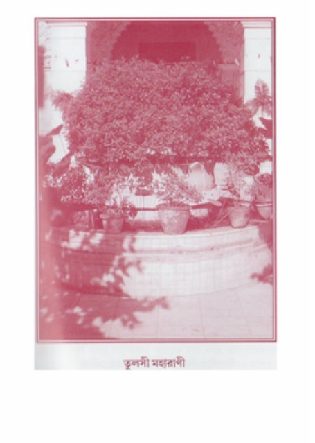 গৌরসুন্দরের বিপ্রলম্ভ লীলা  